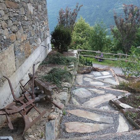 Agriturismo Al Castagneto Villa Mazzo di Valtellina ภายนอก รูปภาพ