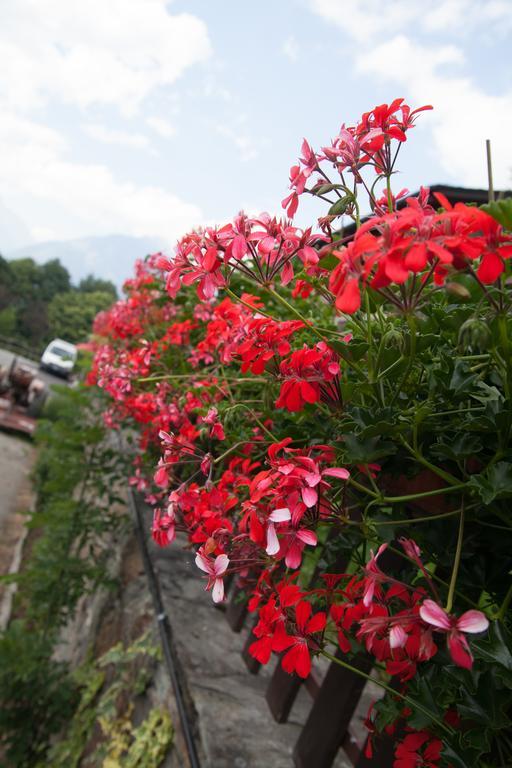 Agriturismo Al Castagneto Villa Mazzo di Valtellina ภายนอก รูปภาพ