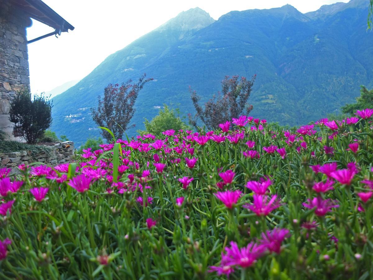 Agriturismo Al Castagneto Villa Mazzo di Valtellina ภายนอก รูปภาพ