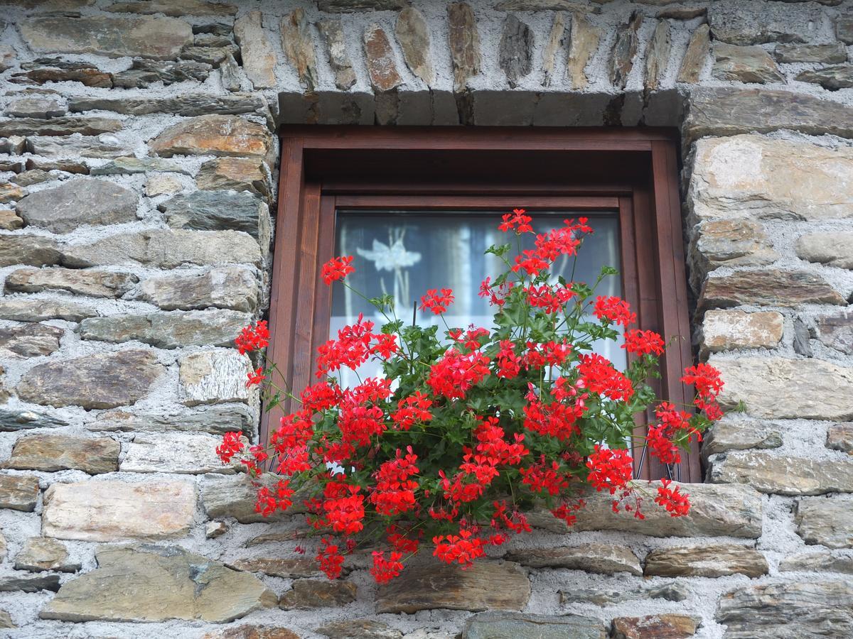 Agriturismo Al Castagneto Villa Mazzo di Valtellina ภายนอก รูปภาพ